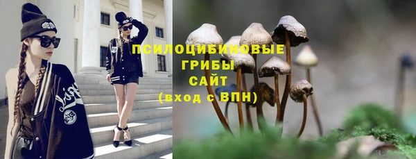 дживик Горняк