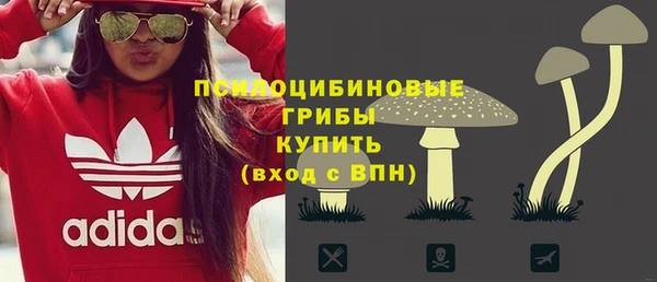 дживик Горняк