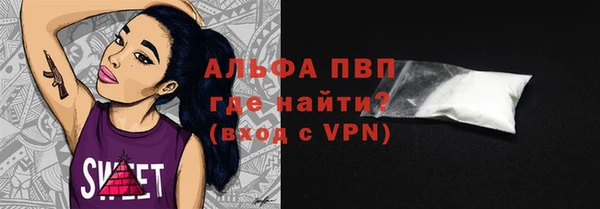 прущие грибы Вязники