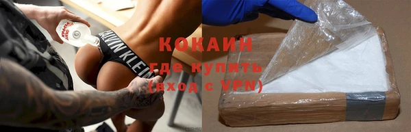 дживик Горняк