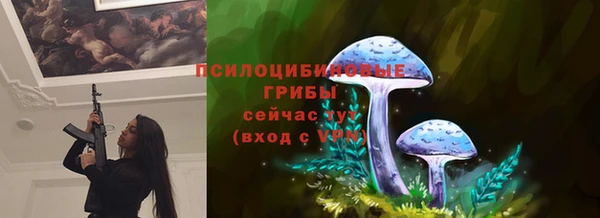 а пвп мука Горно-Алтайск