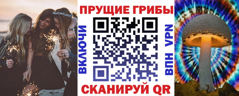 Купить  Нефтекумск  Псилоцибиновые грибы MAGIC MUSHROOMS 